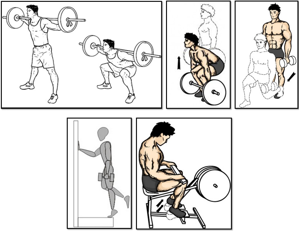 The training program for the ectomorph, leg exercises