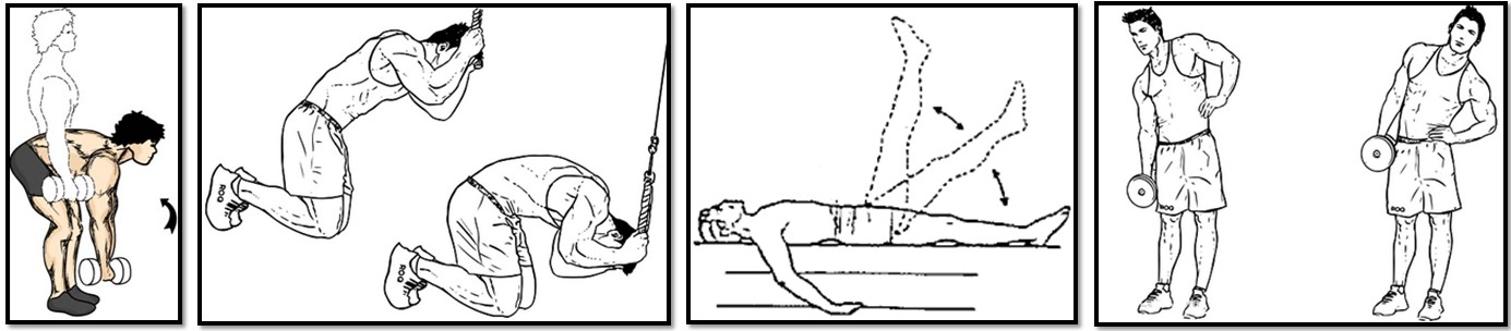 The training program for the ectomorph, exercise the back press