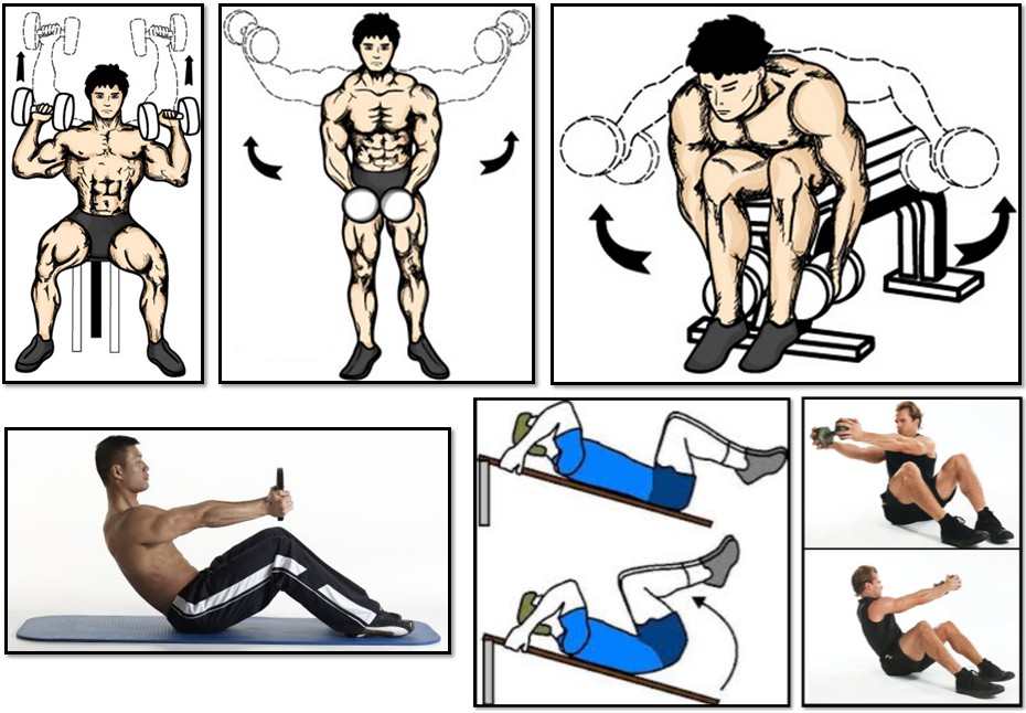 The training program for the ectomorph, shoulder press exercise