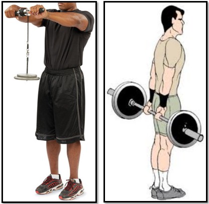 The training program for the ectomorph, exercise wrist