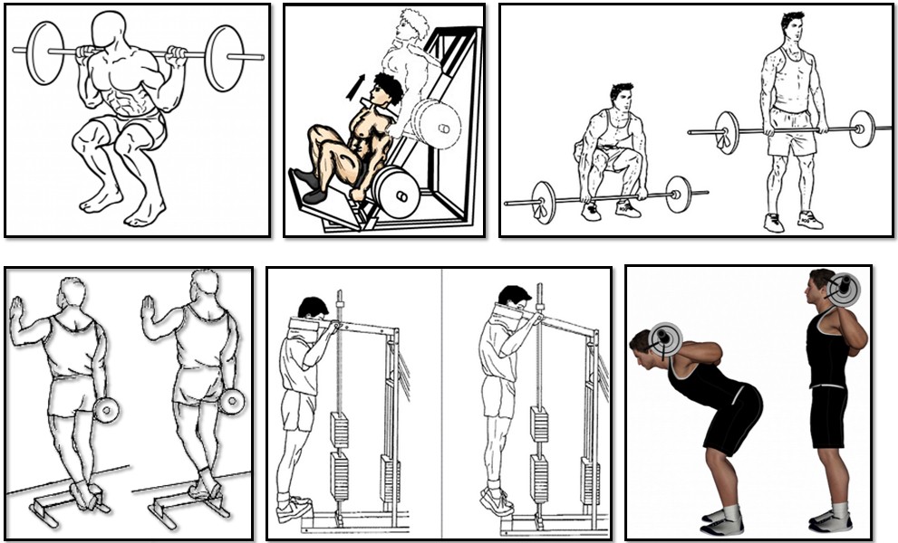 The training program for the ectomorph, leg spin