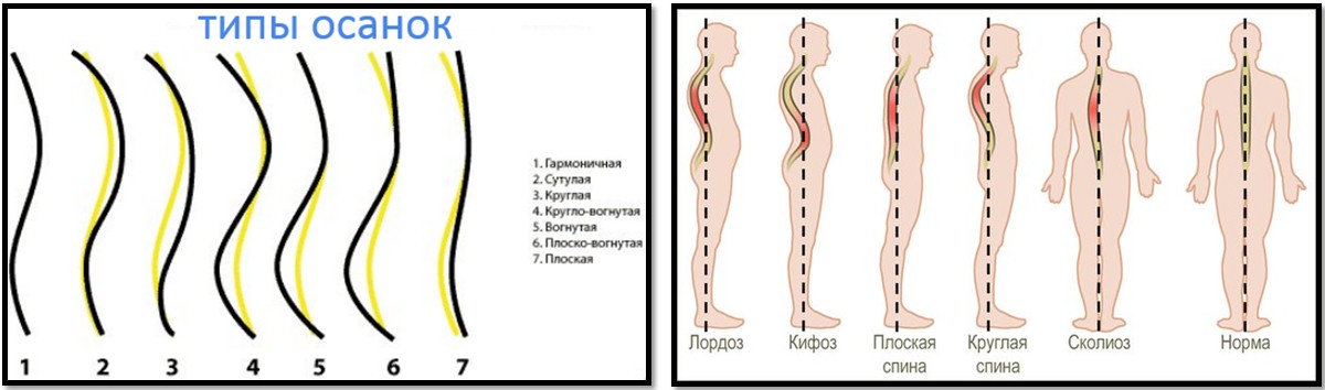 Как лечить бородавки на члене