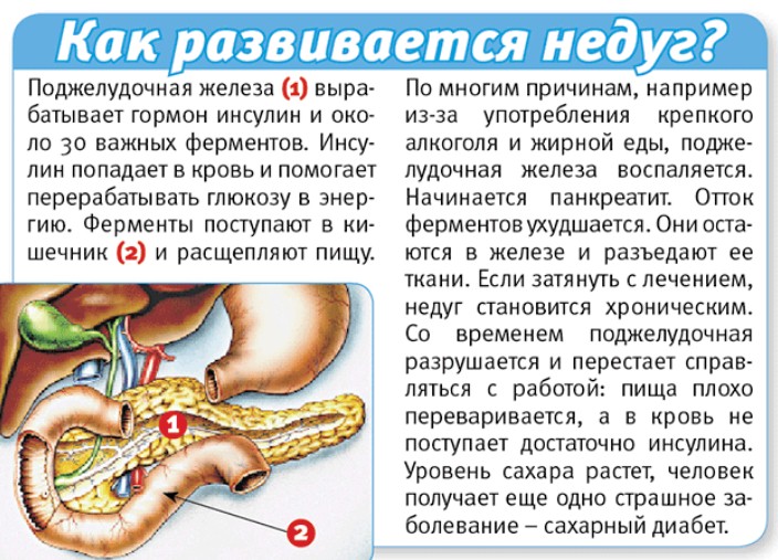 Как и чем лечить обострение поджелудочной железы Как и чем лечить обострение поджелудочной железы