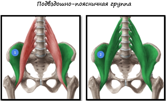 убрать жир ляшек за 2 убрать жир ляшек за 2