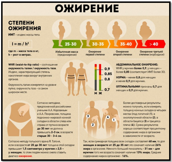 Как убрать живот? Полное убирательное руководство.