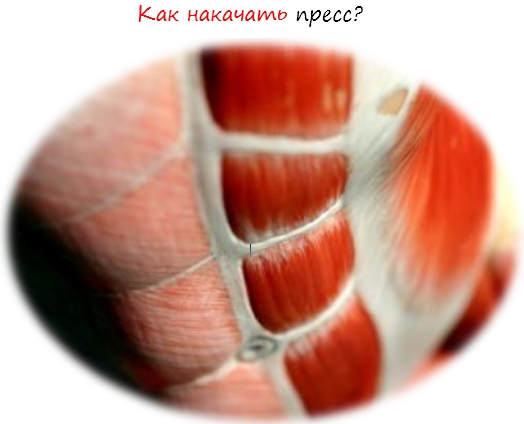 как накачать пресс девочке видео как накачать пресс девочке видео
