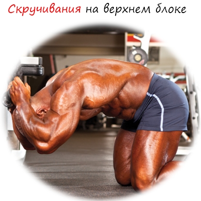 упражнения для убирания живота и боков упражнения для убирания живота и боков
