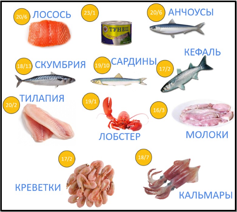 foods rich in protein and fish moreprolukty