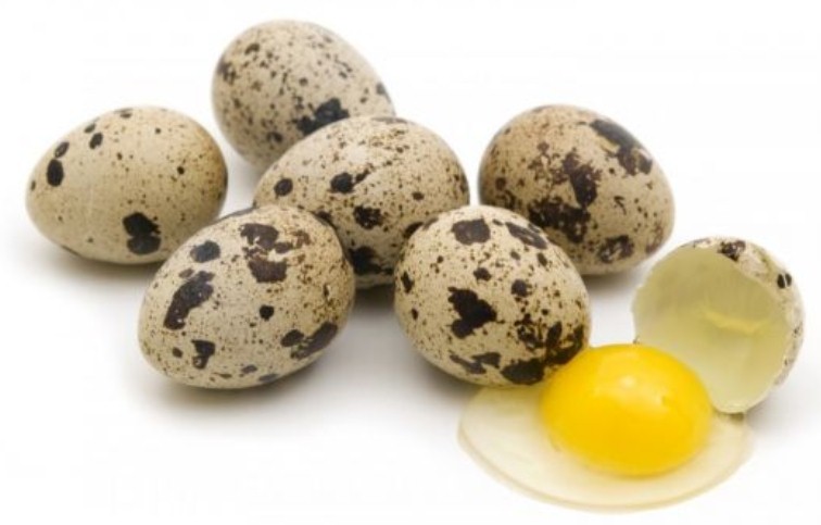 quail eggs