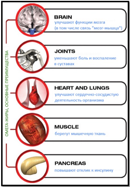 benefits of omega fats