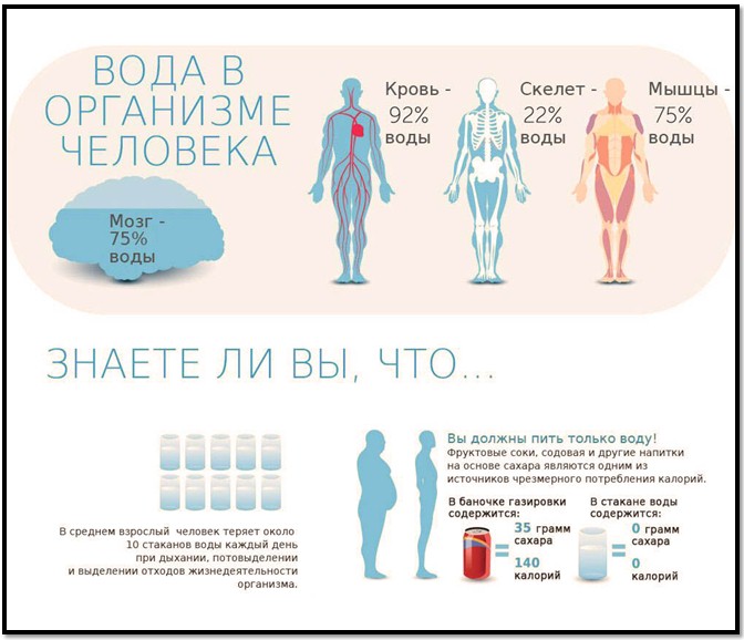 убрать жир за 2 недели убрать жир за 2 недели