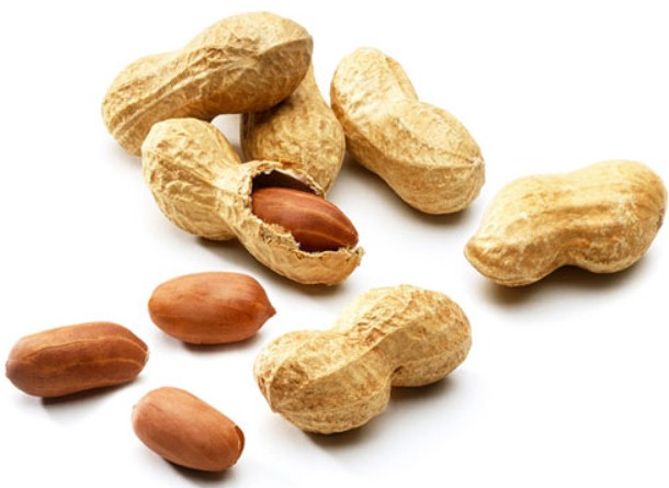 peanuts in bodybuilding