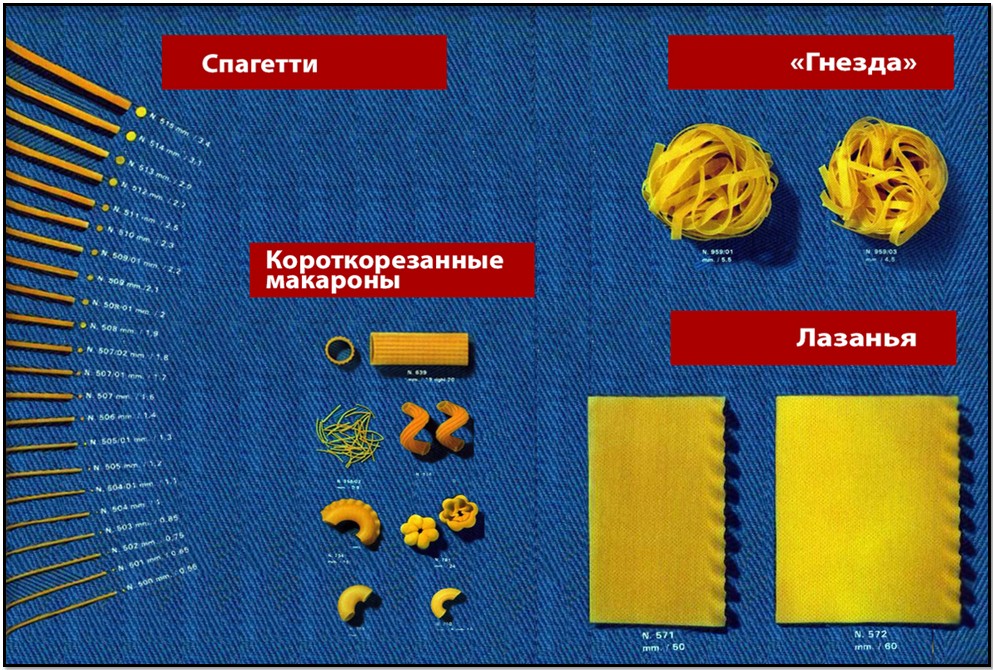 types of pasta