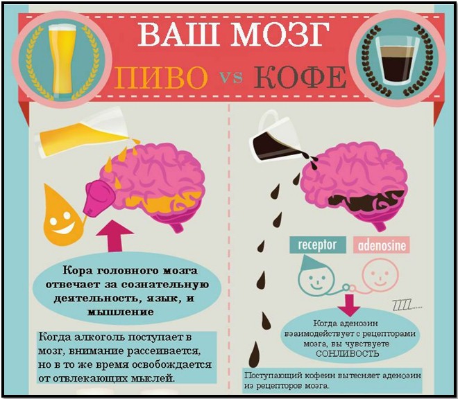 the effect of coffee and beer on the brain