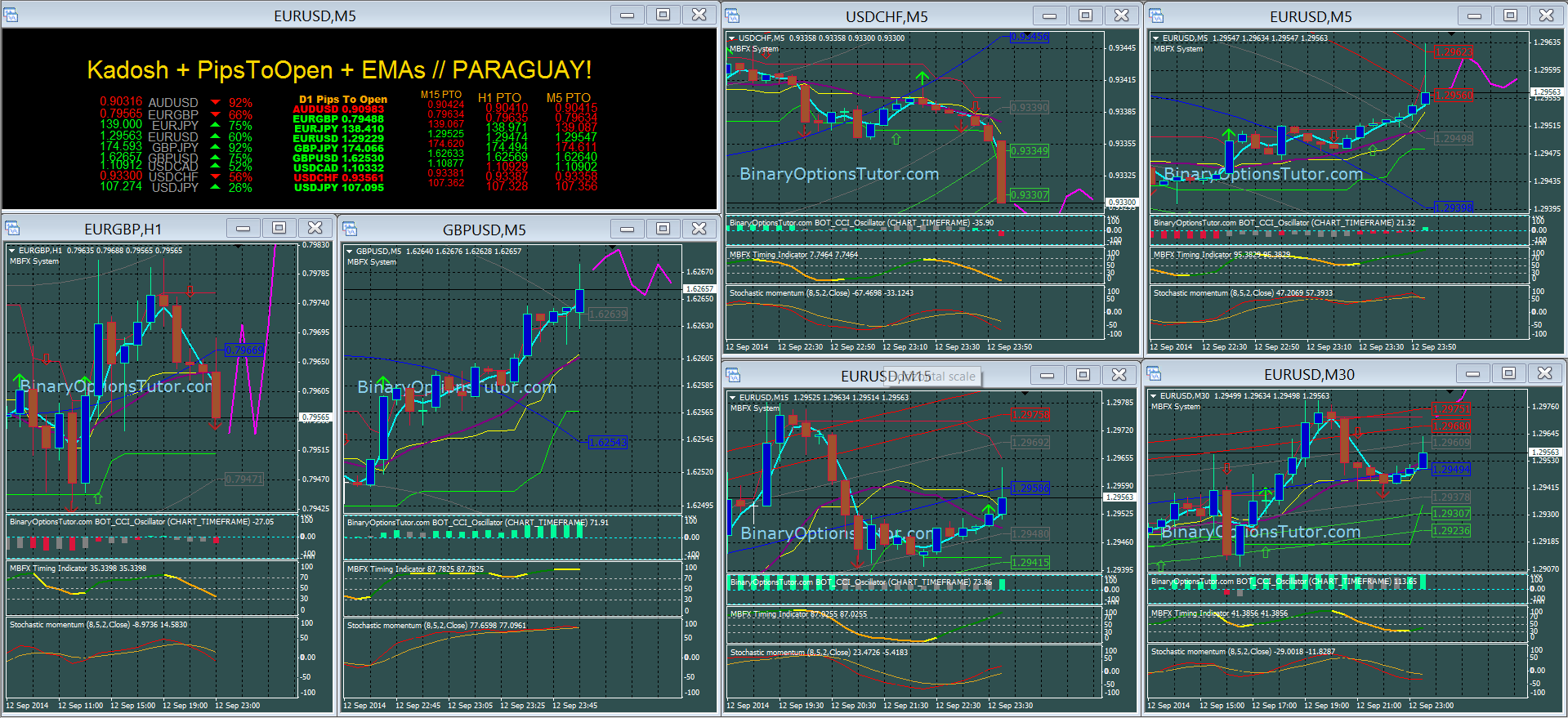 Binary options spot follow