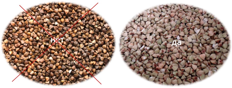 how to choose buckwheat