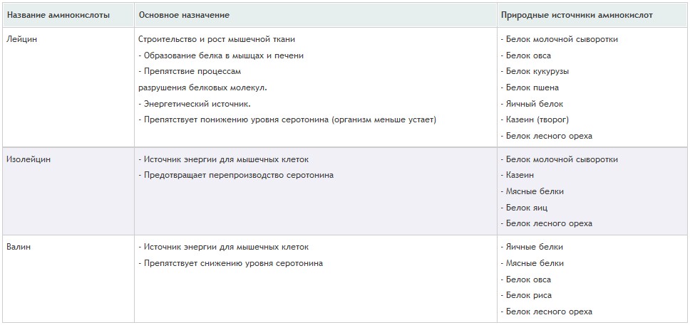basic amino acid protein basic amino acid protein