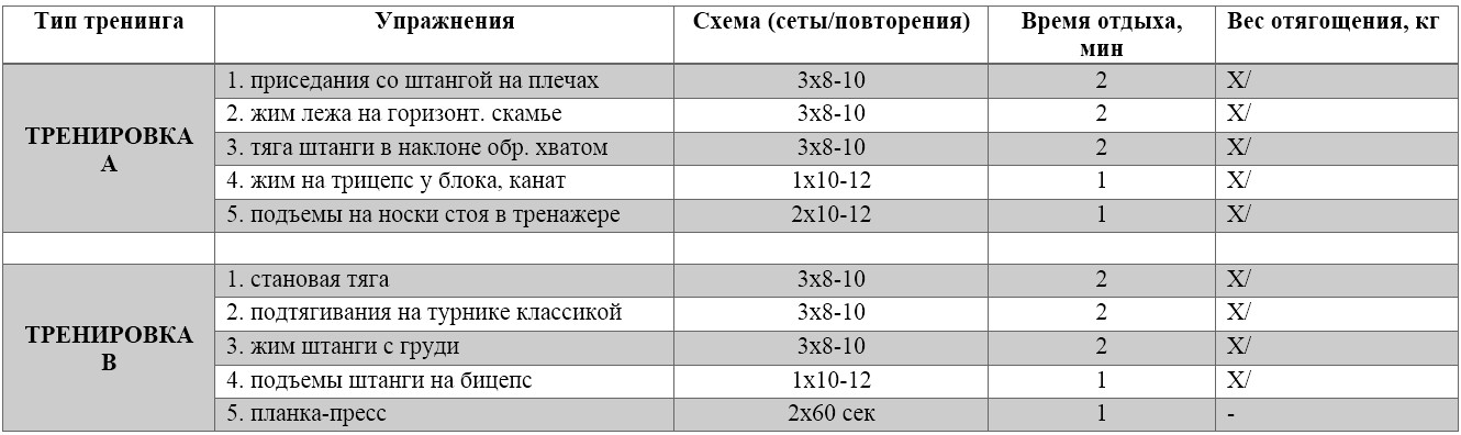 Программа тренировок по суровецкому